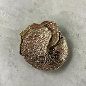Broche Poliana